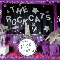 The Amazing Acro-cats Astound in Asheville! October 8 and 9