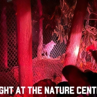 Explore the WNC Nature Center After Dark!