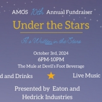 AMOS' 10th Annual Fundraiser - Under the Stars!