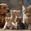 Bark & Bloom 2025 – Adopt, Donate, Win! Haywood County Animal Services!