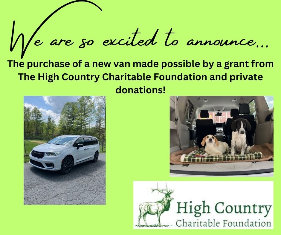 Mitchllctyanimalservicesmay25